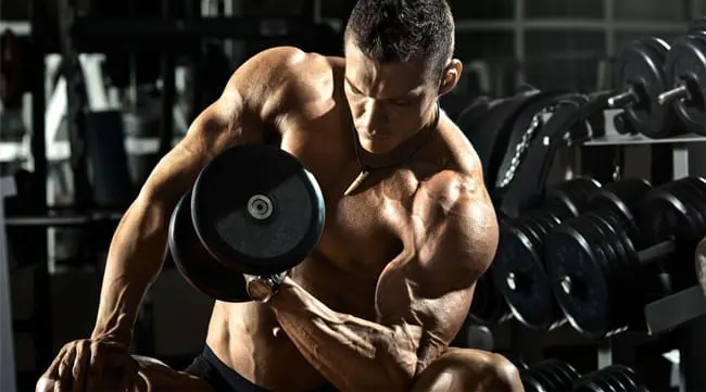 Efectos de la vasodilatación muscular